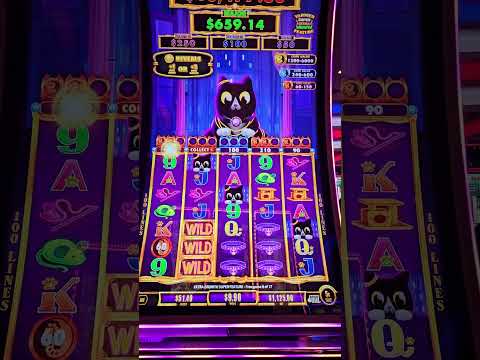 casino bonus