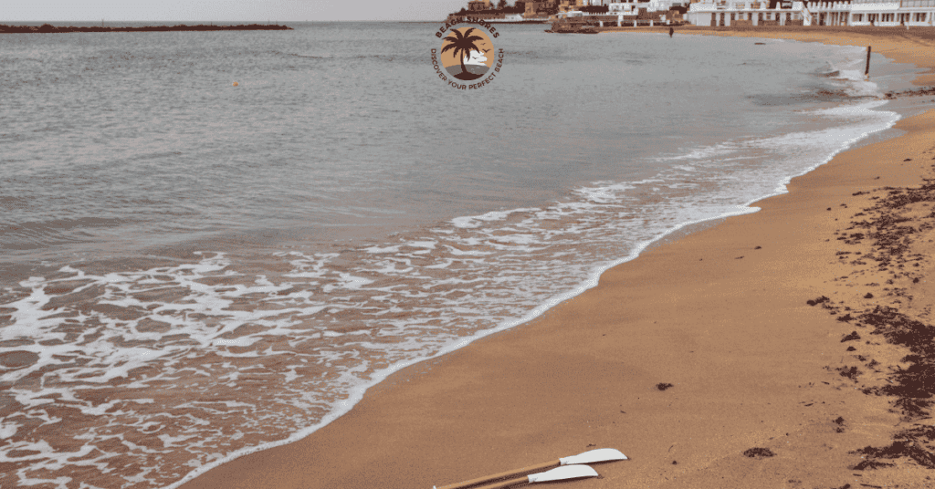 a paddles on a beach