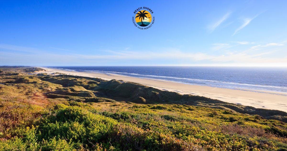 How Far Are Beaches from Florence?